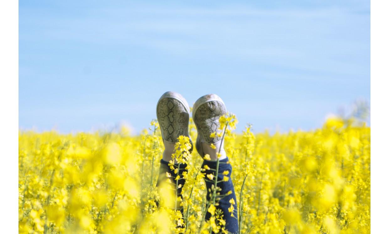background flower motivation achievement yellow happiness sky