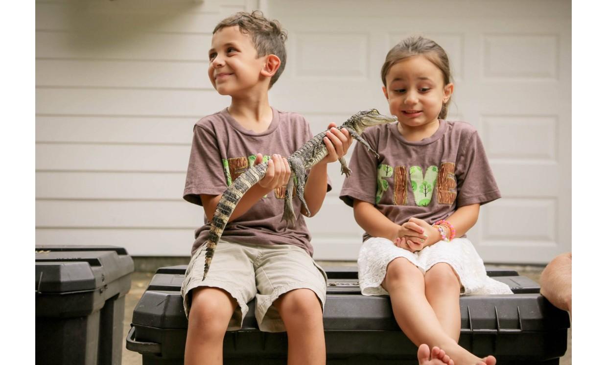 baby boy alligator  cute