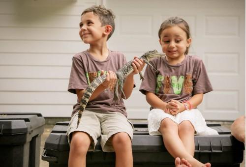 baby boy alligator  cute