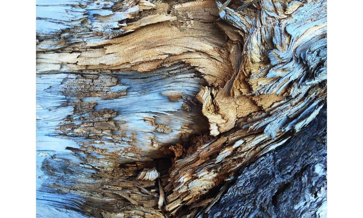 abstract unsplash blue brown
