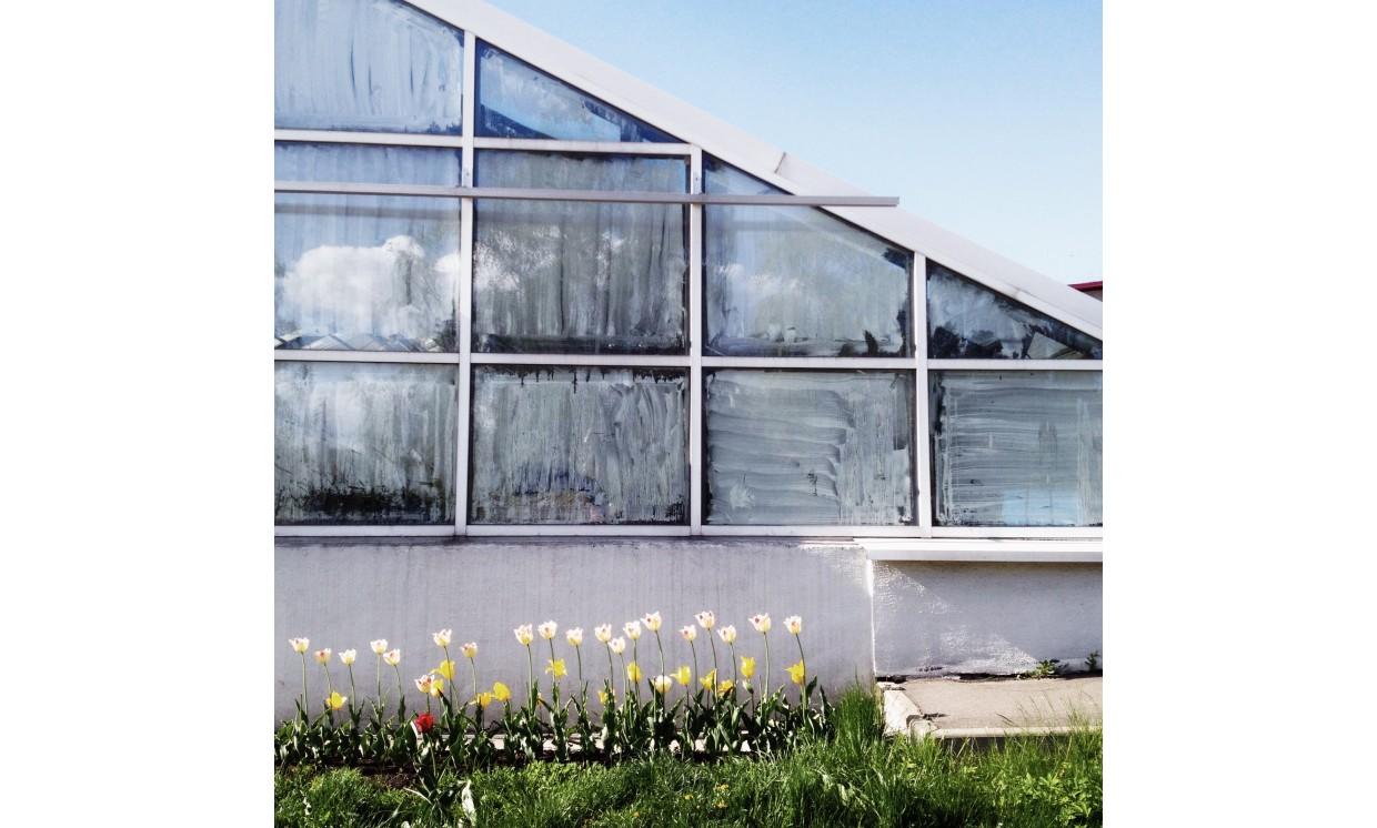 building  house  window summer  greenhouse flowers geometric conservatory glass items buildings