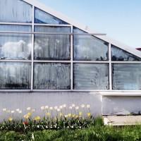 building  house 