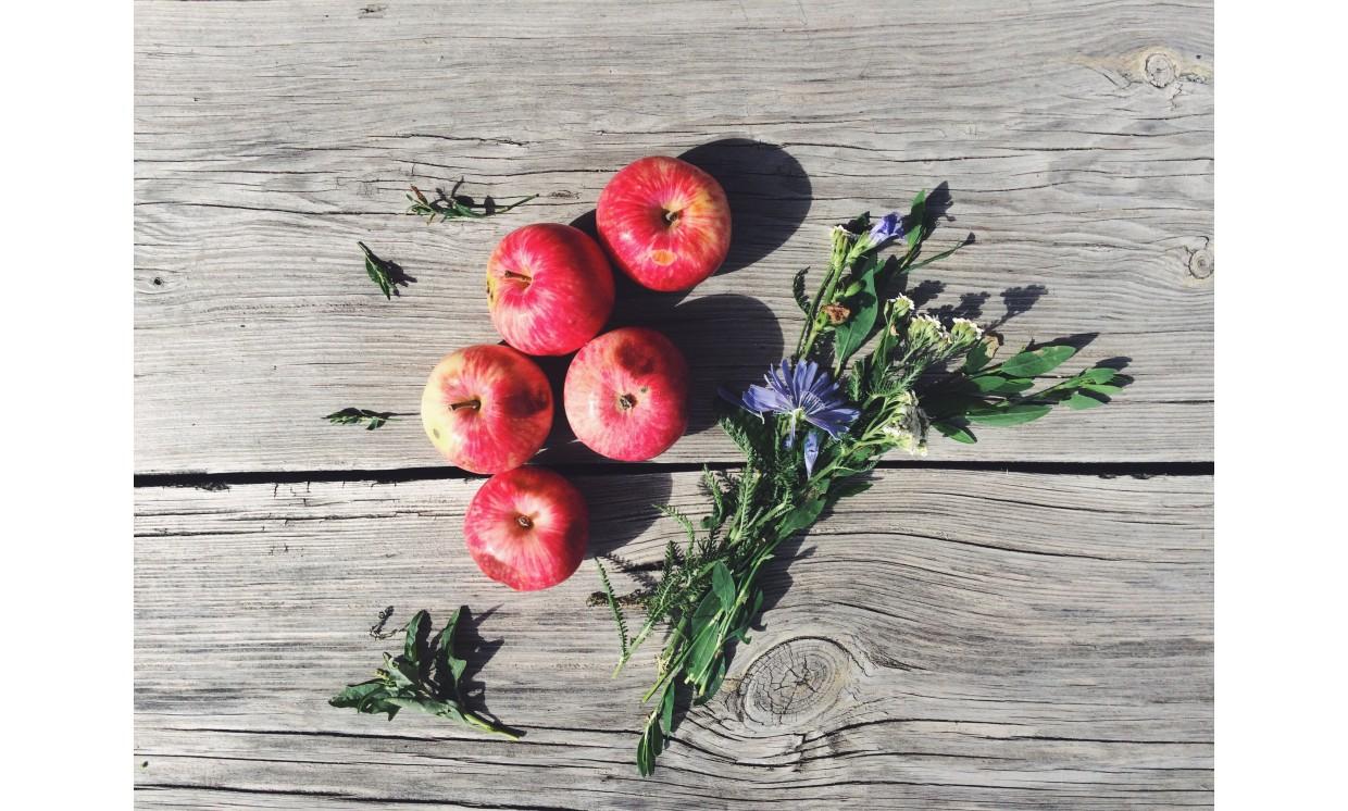 background  flower  apple  red  summer  green  pples