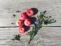 flower apple red summer green background a pples