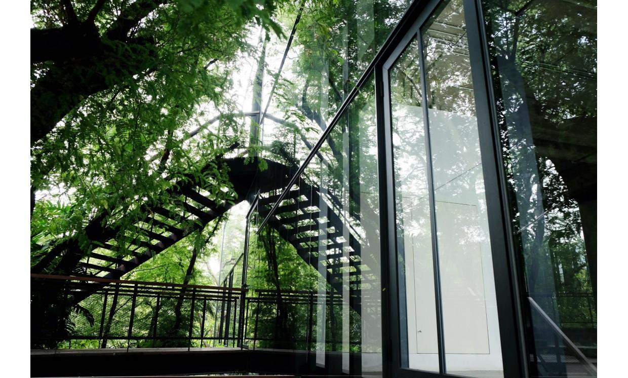 building exterior beautiful green plant area