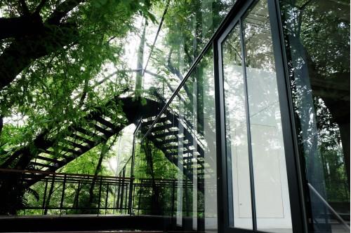 green plant area