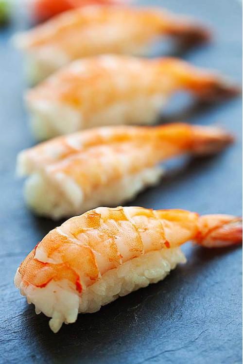 sushi