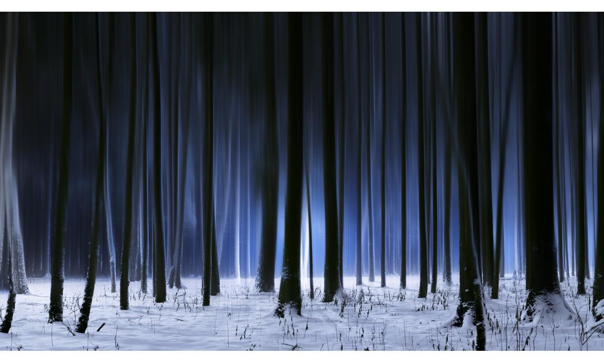 abstract tree darl alone