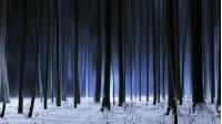 Alone in the dark