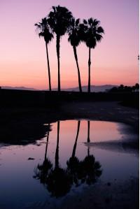 sunset california background venice beach